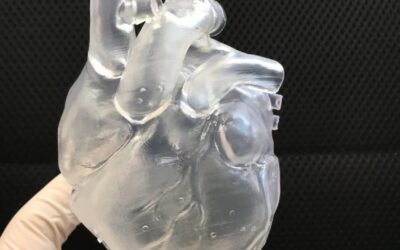 Printed the first semi-flexible 3D heart model.